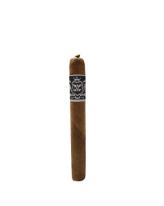  5 Glory Connecticut Corona Bundle of 20