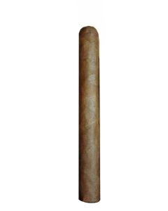 No.1 Blend 2017 Habano Oscuro 6 x 52
